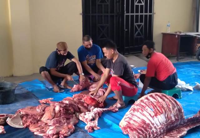 Hari Raya Idul Adha, Bapenda Sulsel Kurban 3 Ekor Sapi